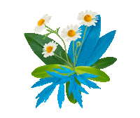 choice-organic choice bouquet teatime kamille Sticker