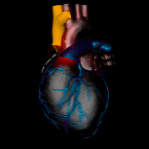 art 3d GIF by G1ft3d