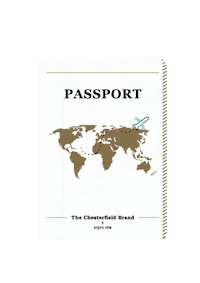 Travel Surprise Sticker by chesterfieldbags