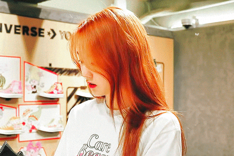 tintuckpop giphyupload GIF