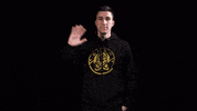 Wave Hello GIF by ENCE