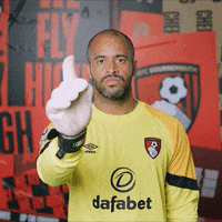 Football No GIF by AFC Bournemouth