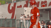 Indiana Baseball GIF by Indiana Hoosiers