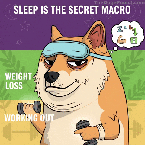 Tired Weight Loss GIF by Doge Pound