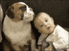 adorable dog GIF