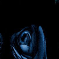 Russian GIF by TeaCosyFolk