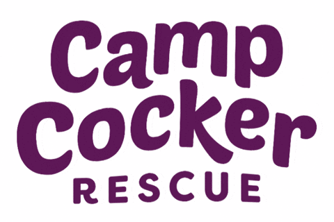 Campcocker2025 GIF by Camp Cocker Rescue