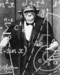 Monkey Yusuf GIF