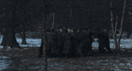 Film Throws Up GIF