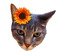 Freud Girassol Sticker by psicanartes