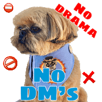 No Drama Zorro Sticker by Pimp Yo Pets