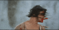 angry martial arts GIF by Shaw Brothers