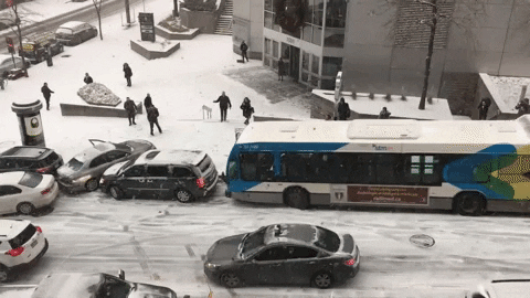PierreLucDaoust giphyupload GIF