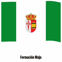 Flag Spain GIF by Formación Ninja