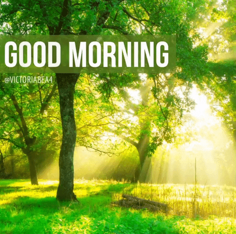 Greeting GIF
