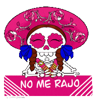 20 De Noviembre Pink Sticker