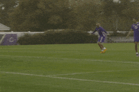 antonio GIF by Orlando City SC