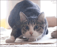 bored to death GIF