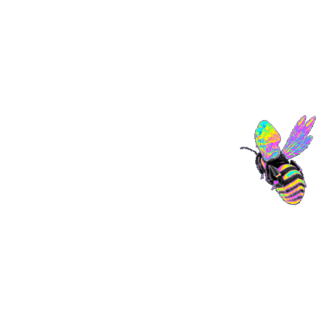 Color Fly Sticker by Dinaaaaaah