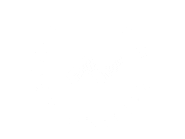 RapidAgencyBelfast marketing agency digital marketing belfast Sticker