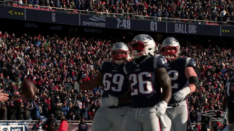 2018 nfl football GIF by New England Patriots