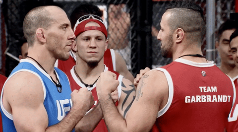 the ultimate fighter ufc GIF