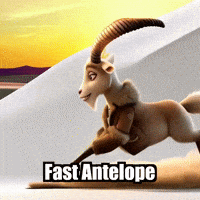 Exercise GIF by Radiantelope