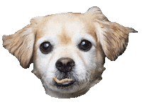 nosreiremosdeesto podcast pichu connector nrde Sticker