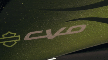 Brand Adventure GIF by Harley-Davidson