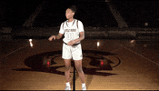 Littlerockwbb GIF by Little Rock Athletics