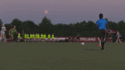 GIF by Little Rock Athletics