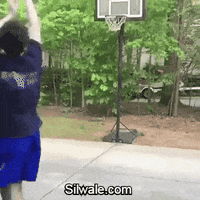 GIF by Silwale