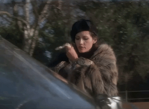 furglamor giphyupload fur femme fatale furglamor GIF