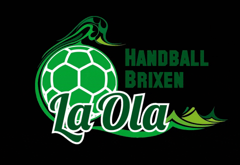 LaolaBrixen giphygifmaker brixen laola brixen handball brixen GIF