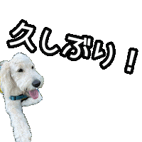 Dogs 犬 Sticker