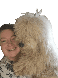 Happy Goldendoodle Sticker by doodlepro