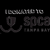 spcatampabay spca spcatampabay spca tampa bay spca largo GIF