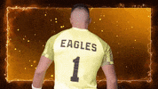 Armscrossed GIF by Carson-Newman Athletics
