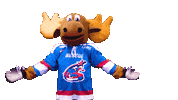 clap your hands Sticker by Newcastle Northstars