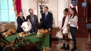 sasha obama thanksgiving GIF by Obama