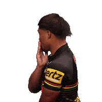 Nrl Sticker by Penrith Panthers