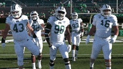 OhioBobcats football cats ncaa college football GIF
