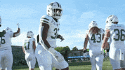 OhioBobcats football cats ncaa college football GIF