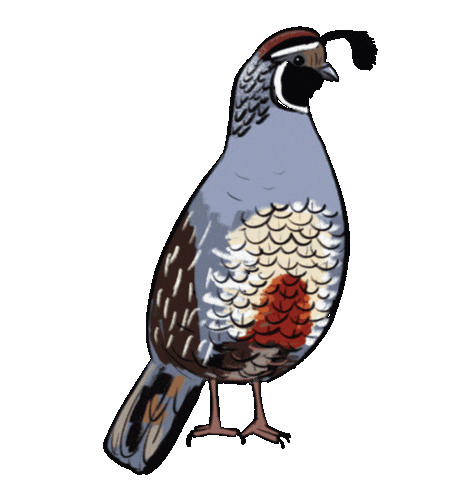 Birdtalk Sticker by girlinwhiteglasses