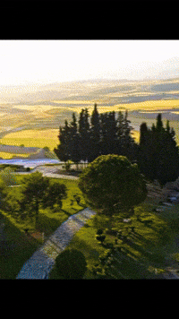 Turkey Turkish GIF