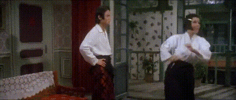 martial arts omg GIF by Shaw Brothers