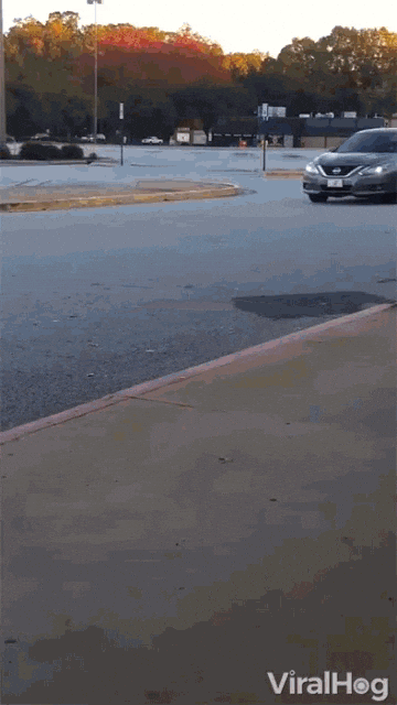 ipacst giphyupload GIF