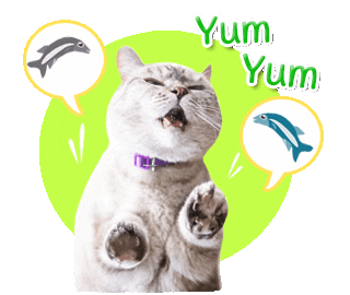 cat nom Sticker