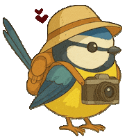 Bird Vogel Sticker by mahoniemoni