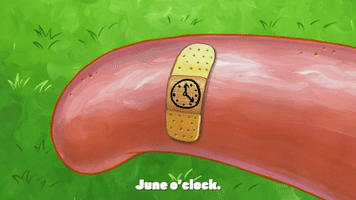 season 9 episode 23 GIF by SpongeBob SquarePants